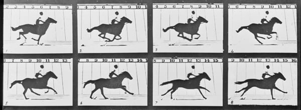 muybridge