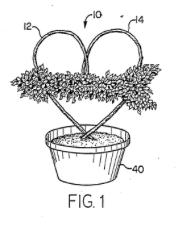 Heart-shaped plant